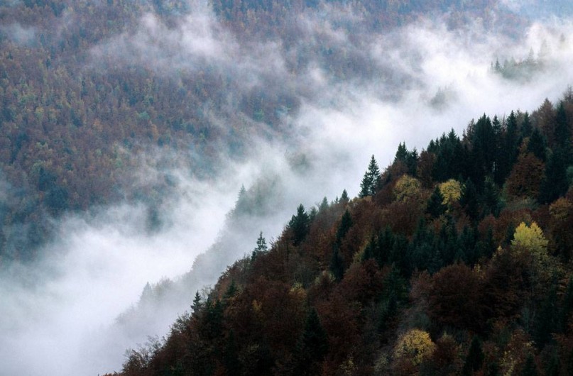 Location de vacances - Appartement à Hauterive-la-Fresse