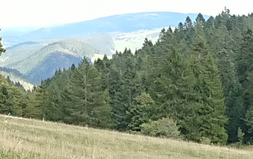 Location de vacances - Appartement à Hauterive-la-Fresse