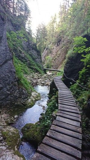 Location de vacances - Appartement à Hauterive-la-Fresse