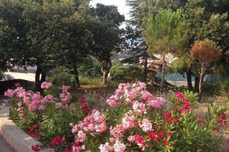 Location de vacances - Villa à Saint-Raphaël