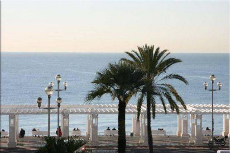 Location de vacances - Villa à Saint-Raphaël