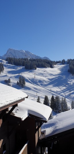 Location de vacances - Appartement à Manigod