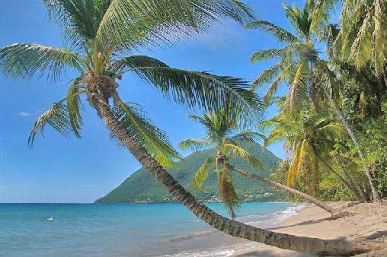 Location de vacances - Villa à Le Diamant