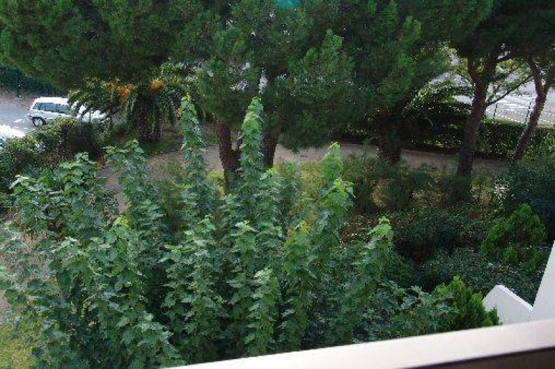 Location de vacances - Appartement à Le Grau-du-Roi