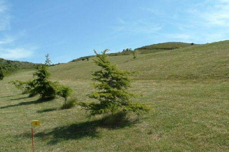 Location de vacances - Gîte à Laurac