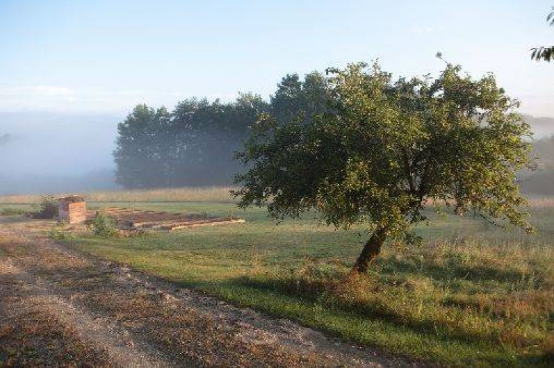 Location de vacances - Gîte à Saint-Amand-de-Coly - le potager et un coin du verger, accessibles aux vacanciers