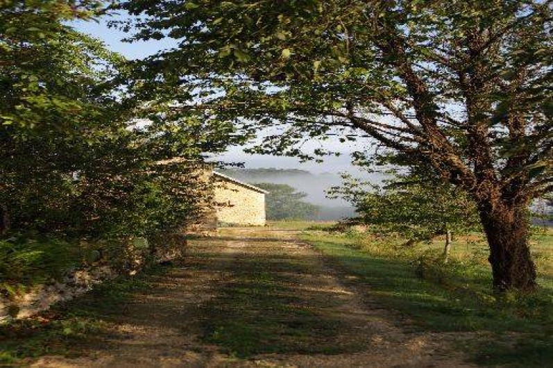 Location de vacances - Gîte à Saint-Amand-de-Coly - l'entrée de la propriété menant au gîte