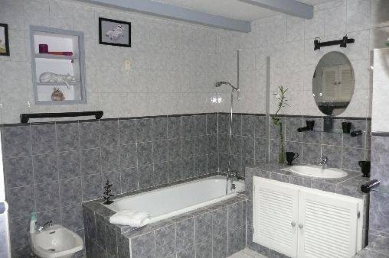 Location de vacances - Villa à Jouques