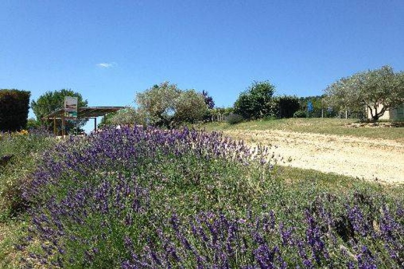 Location de vacances - Camping à Villelaure