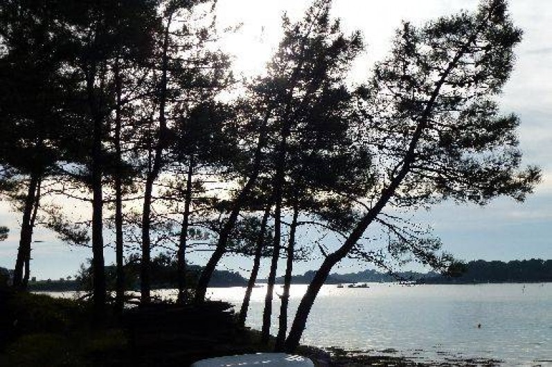 Location de vacances - Villa à Baden