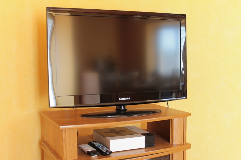 Location de vacances - Gîte à Peyrouse - Télévision