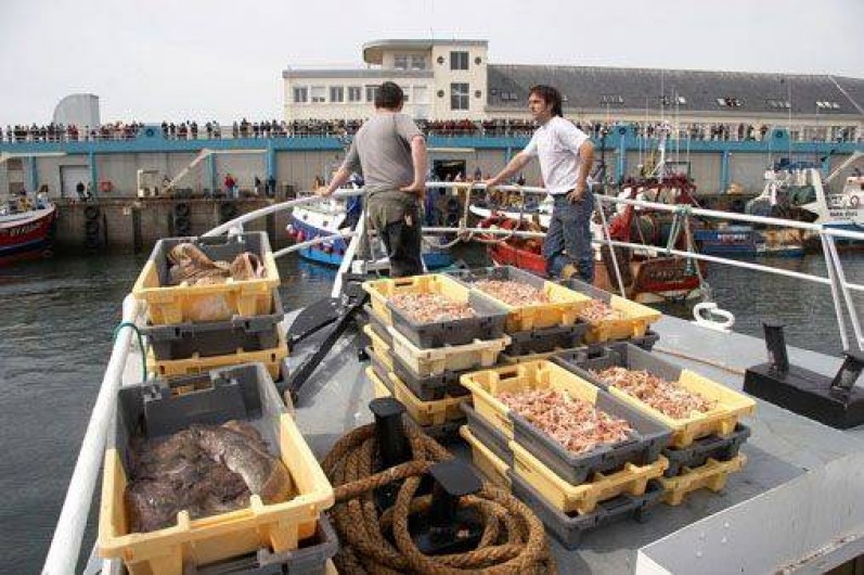 Location de vacances - Villa à Guilvinec