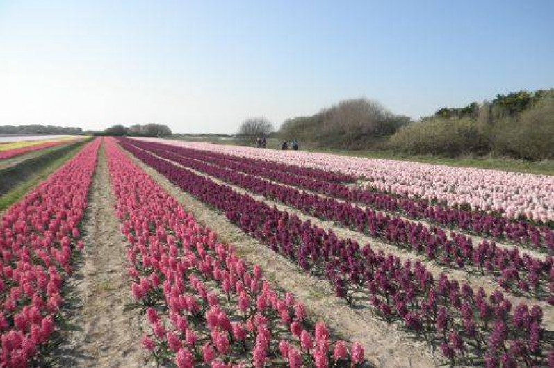 Location de vacances - Villa à Guilvinec