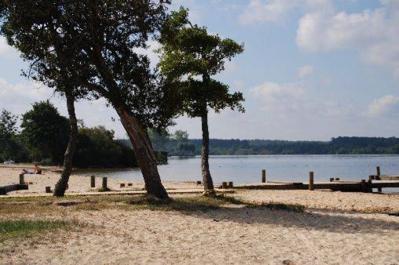 Location de vacances - Appartement à Parentis-en-Born