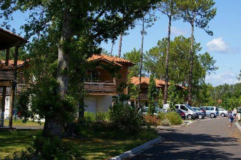 Location de vacances - Appartement à Parentis-en-Born