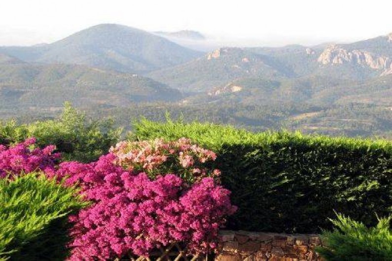 Location de vacances - Appartement à Mandelieu-la-Napoule