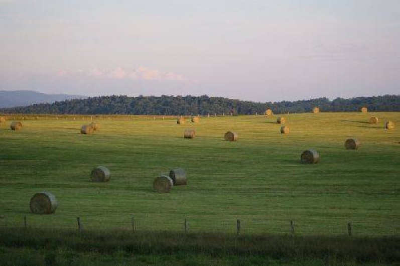 Location de vacances - Chambre d'hôtes à Marigny