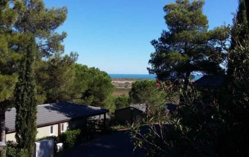 Location de vacances - Bungalow - Mobilhome à Agde