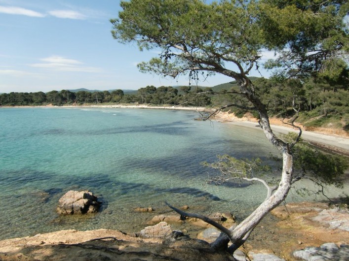 Location de vacances - Appartement à La Londe-les-Maures