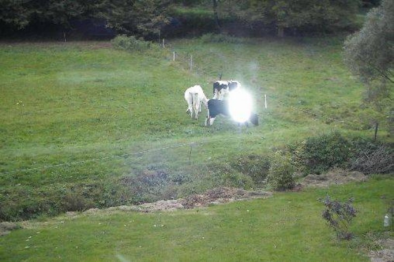 Location de vacances - Maison - Villa à Fraize