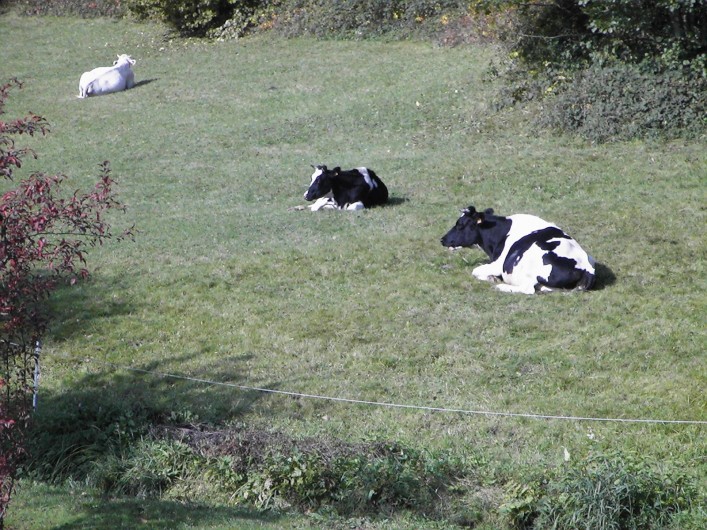 Location de vacances - Maison - Villa à Fraize