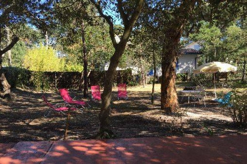 Location de vacances - Maison - Villa à Arcachon