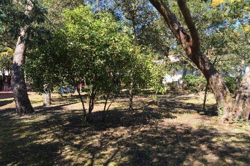 Location de vacances - Maison - Villa à Arcachon