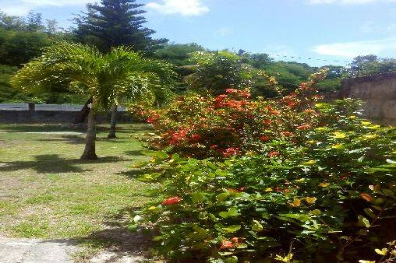 Location de vacances - Appartement à Sainte-Anne