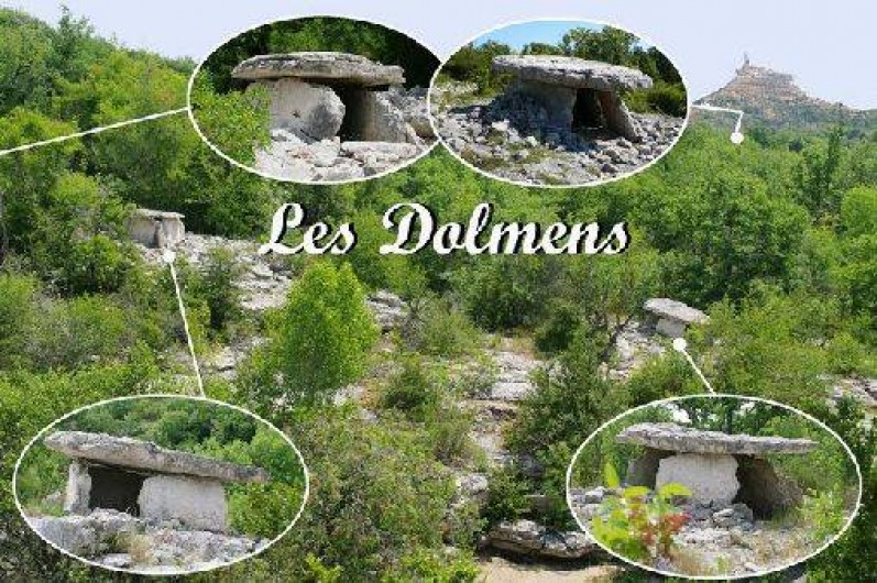 Location de vacances - Gîte à Saint-Alban-Auriolles