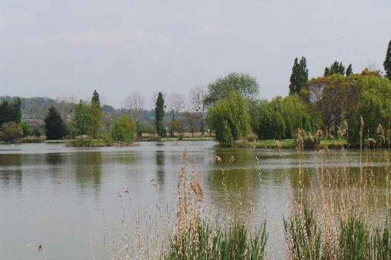 Location de vacances - Bungalow - Mobilhome à Deauville