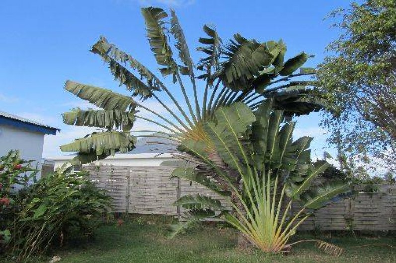 Location de vacances - Bungalow - Mobilhome à Le Moule