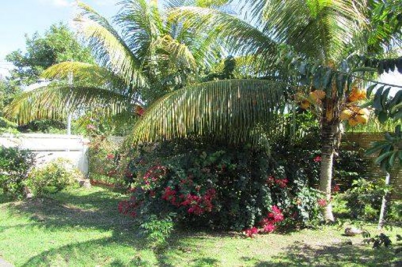 Location de vacances - Bungalow - Mobilhome à Le Moule