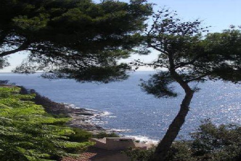 Location de vacances - Appartement à Carqueiranne