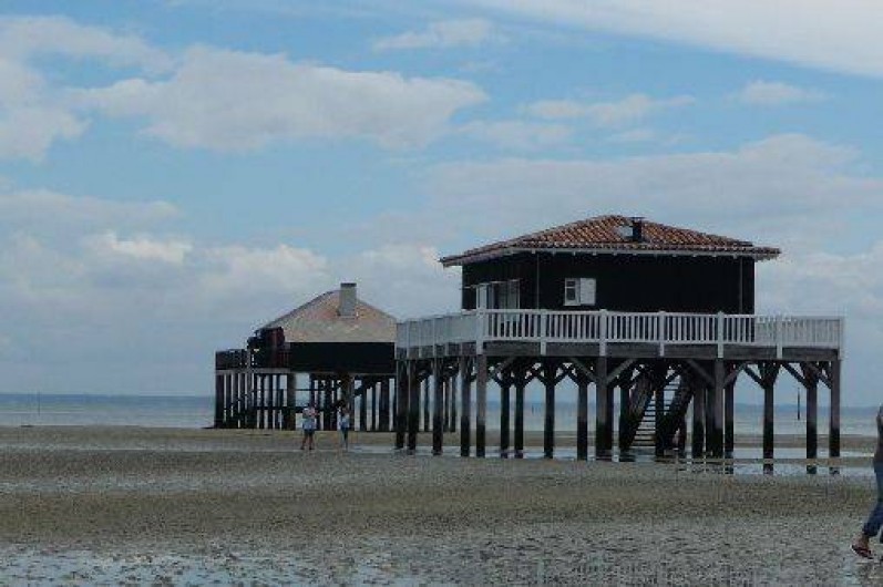 Location de vacances - Gîte à Pyla sur Mer