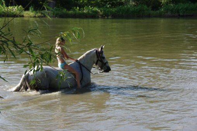 Location de vacances - Gîte à Pierrefitte-sur-Sauldre