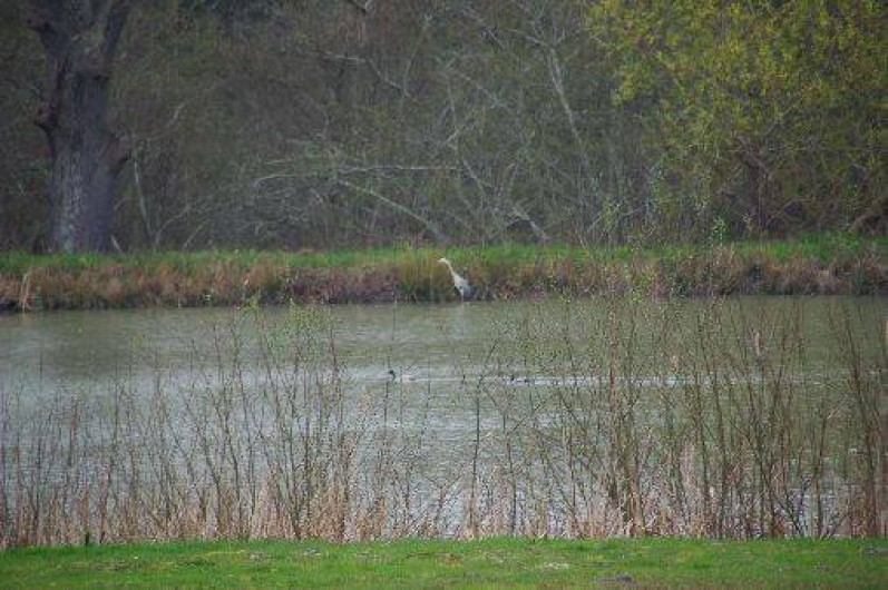 Location de vacances - Gîte à Pierrefitte-sur-Sauldre