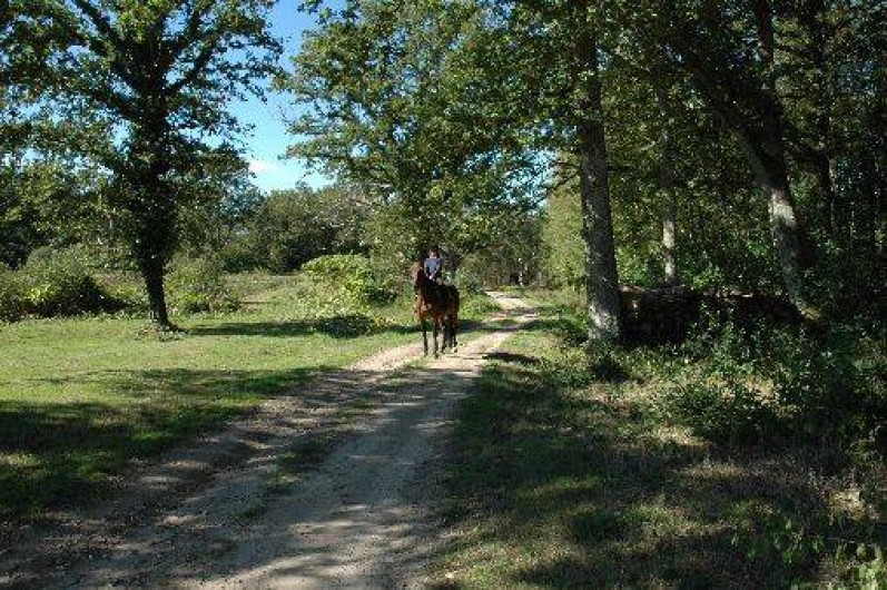 Location de vacances - Gîte à Pierrefitte-sur-Sauldre