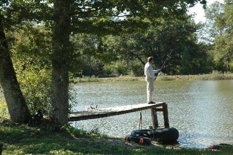 Location de vacances - Gîte à Pierrefitte-sur-Sauldre