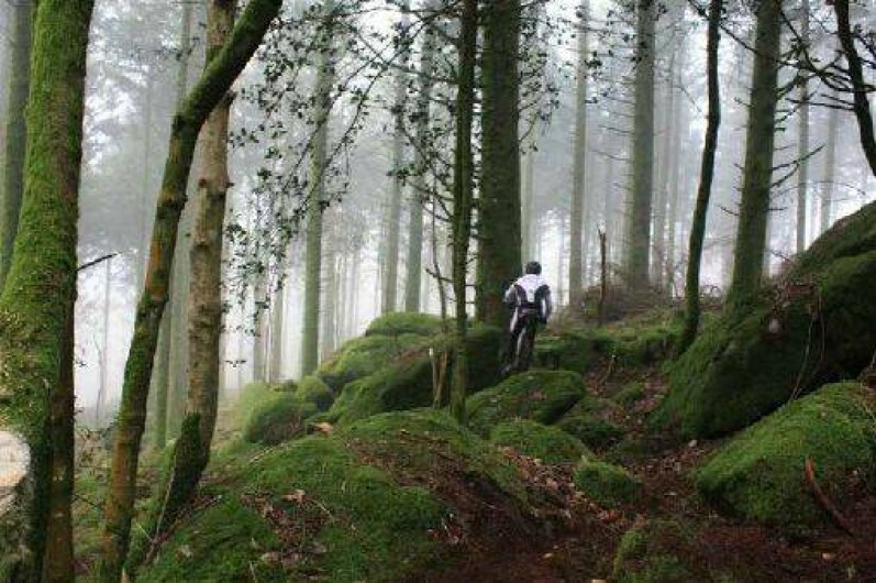 Location de vacances - Chalet à Châtelus-le-Marcheix