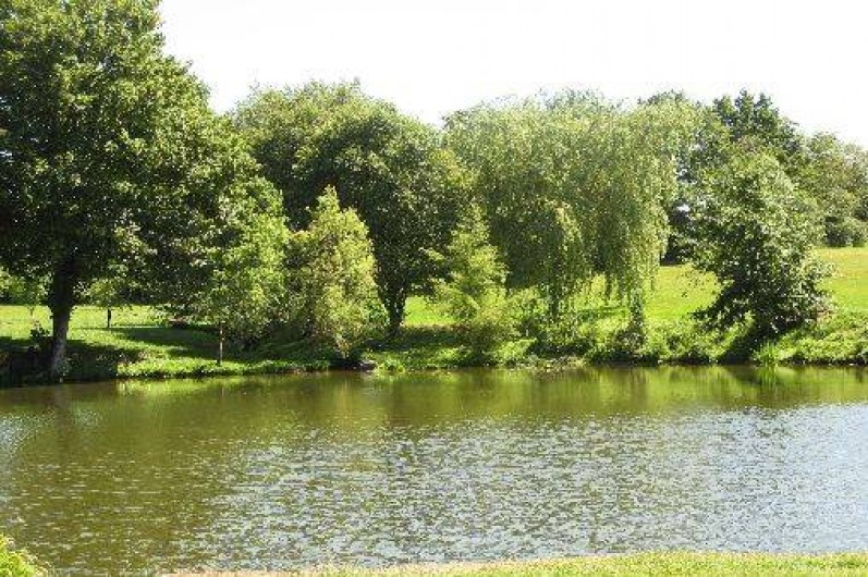 Location de vacances - Chambre d'hôtes à Nueil-les-Aubiers