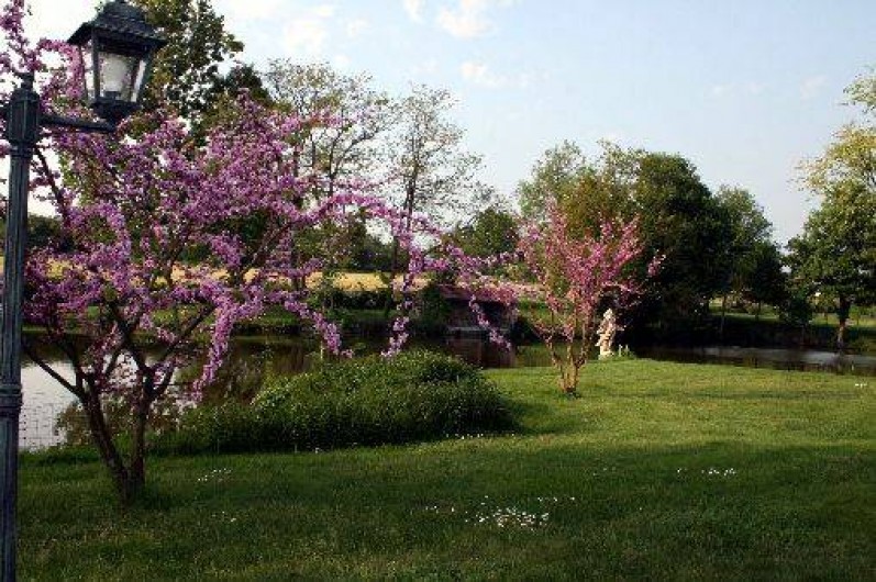 Location de vacances - Chambre d'hôtes à Nueil-les-Aubiers