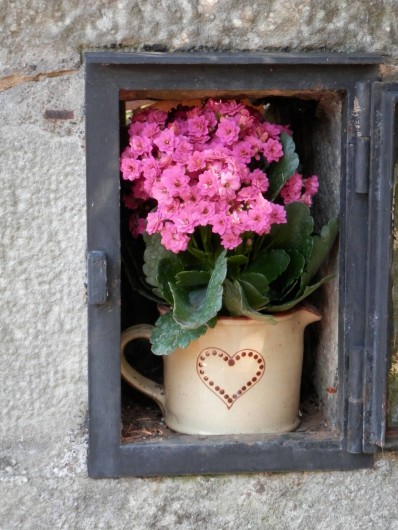 Location de vacances - Chambre d'hôtes à Faycelles - ...et revenir