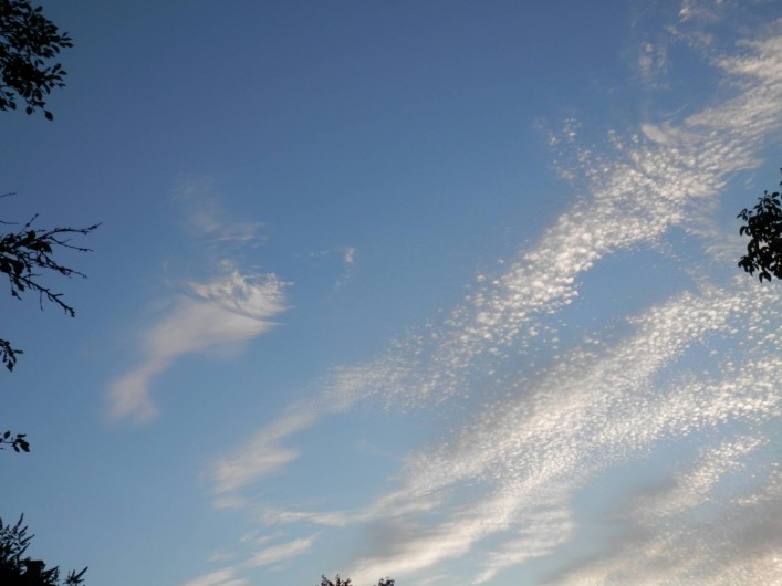 Location de vacances - Chambre d'hôtes à Faycelles - Observer le ciel,