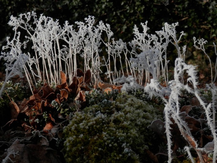 Location de vacances - Chambre d'hôtes à Faycelles - ou profiter du "hors-saison"...