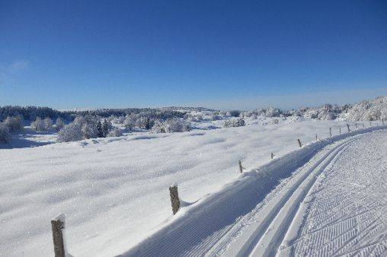 Location de vacances - Gîte à Lajoux