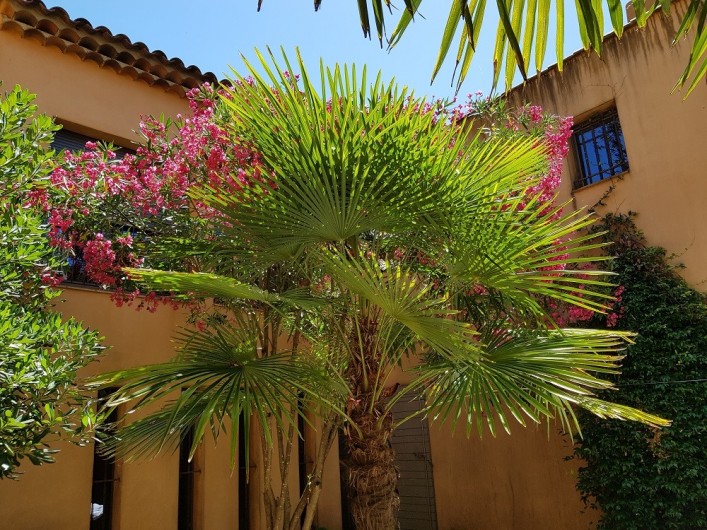 Location de vacances - Villa à Saint-Cannat