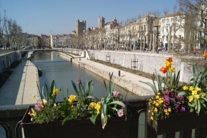 Location de vacances - Maison - Villa à Ferrals-les-Corbières