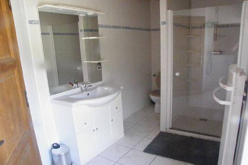 Location de vacances - Gîte à Castelnau-de-Montmiral