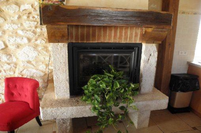 Location de vacances - Gîte à Castelnau-de-Montmiral