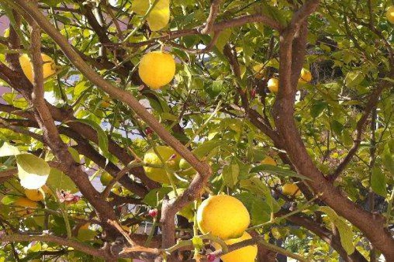 Location de vacances - Studio à Menton